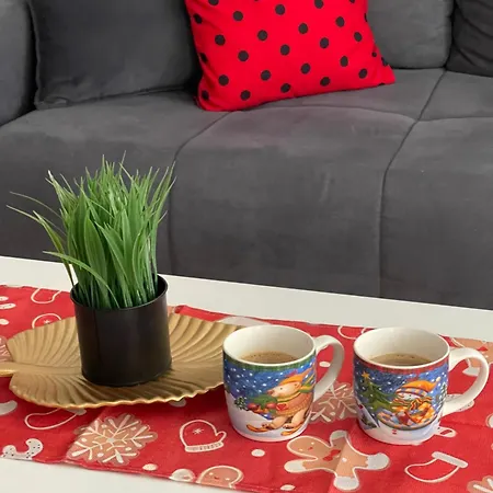 City Apartmani Nis *